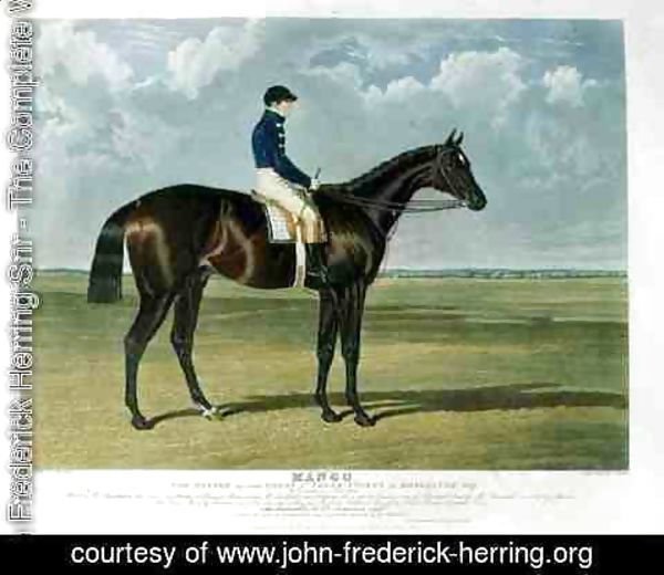 John Frederick Herring Snr - 'Mango', the Winner of the Great St. Leger Stakes at Doncaster, 1837