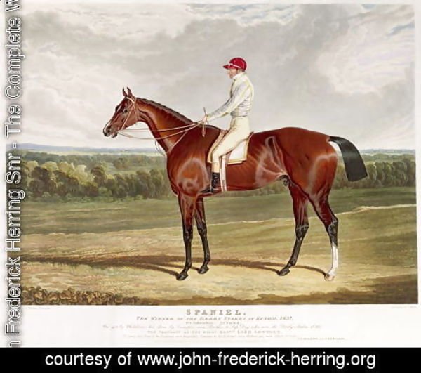 John Frederick Herring Snr - Spaniel', the Winner of the Derby Stakes at Epsom, 1831