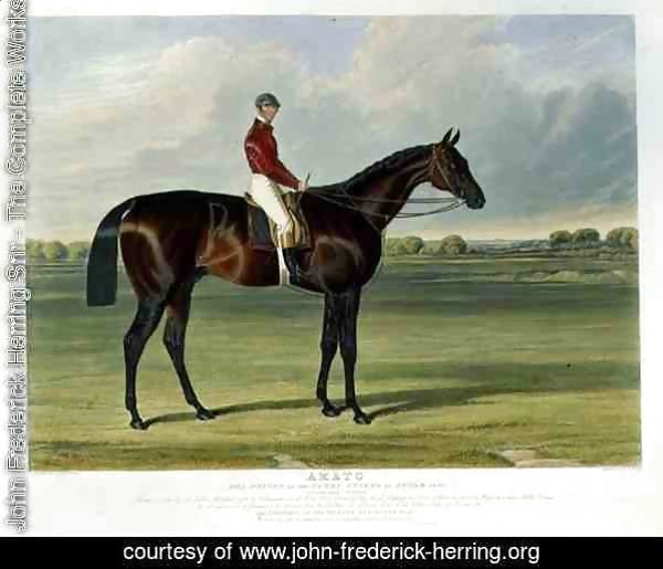 'Amato', the Winner of the Derby Stakes at Epsom, 1838