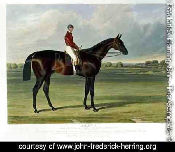 John Frederick Herring Snr - 'Amato', the Winner of the Derby Stakes at Epsom, 1838
