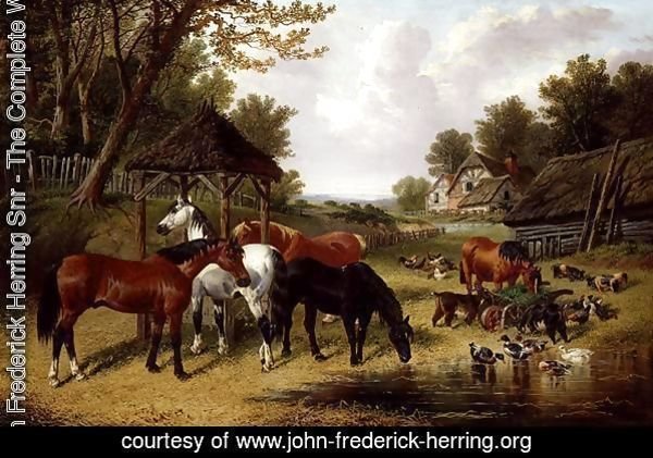 Horses by a Farmyard pond