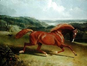 John Frederick Herring Snr - Galloping Horse in a Landscape