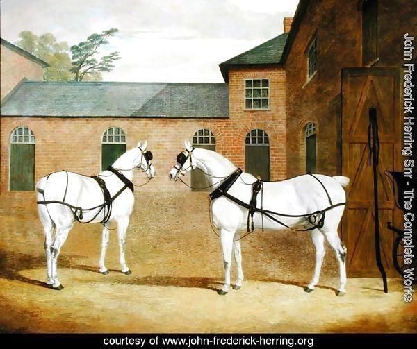 Mr. Sowerby's Grey Carriage Horses in his Coachyard at Putteridge Bury, Hertfordshire, 1836