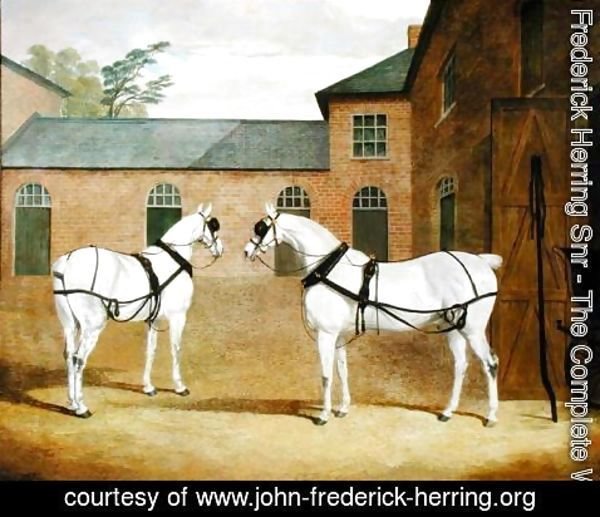 John Frederick Herring Snr - Mr. Sowerby's Grey Carriage Horses in his Coachyard at Putteridge Bury, Hertfordshire, 1836