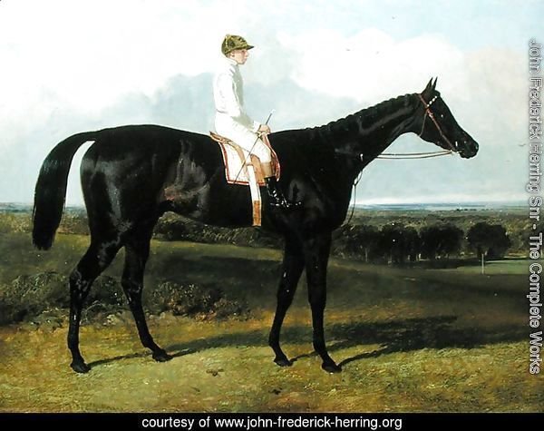 'Jonathan Wild', a Dark Bay Race Horse, at Goodwood, T. Ryder up, 1846