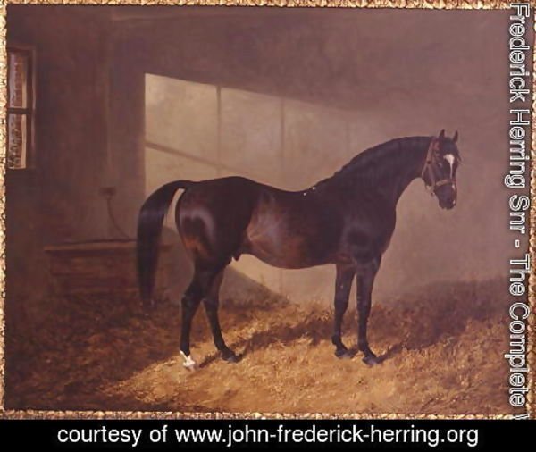 John Frederick Herring Snr - 'Touchstone', 1844