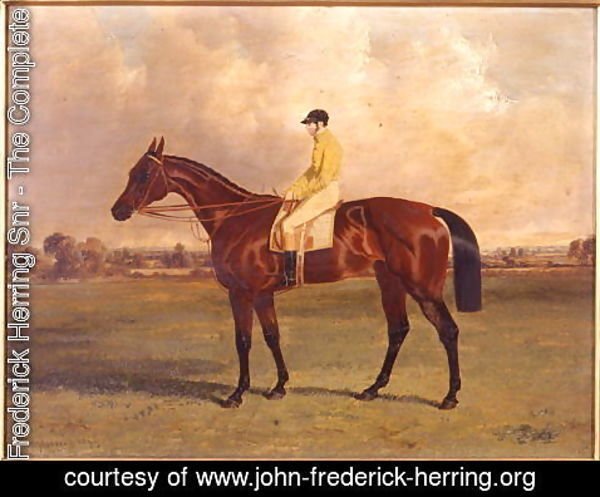 John Frederick Herring Snr - 'Ghuznee', 1841