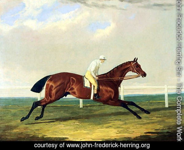 'Tarrare' ridden by George Nelson