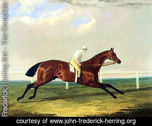 John Frederick Herring Snr - 'Tarrare' ridden by George Nelson