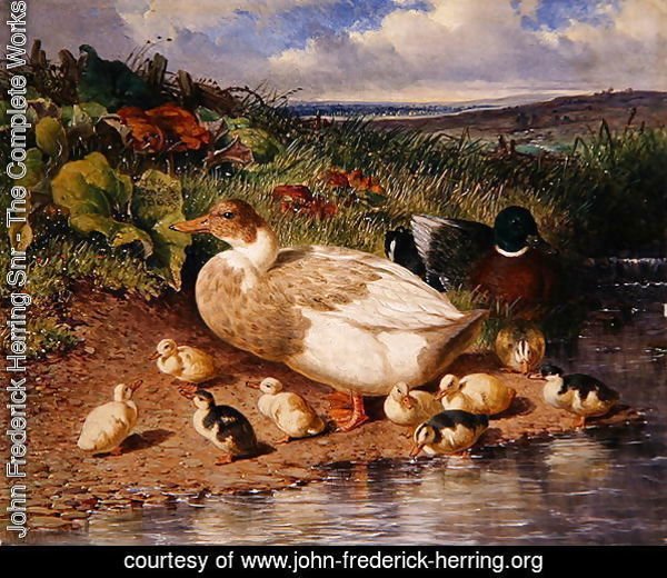 Ducks by a Stream, 1863