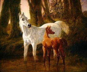 John Frederick Herring Snr - Mare and Foal startled while watering in a Stream, 1854