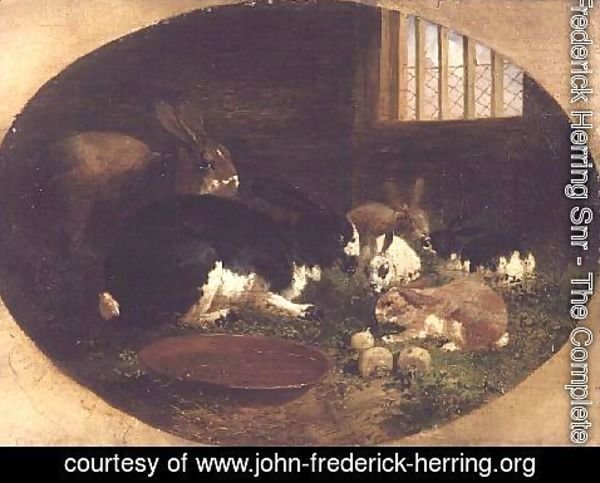 John Frederick Herring Snr - The Rabbit Hutch