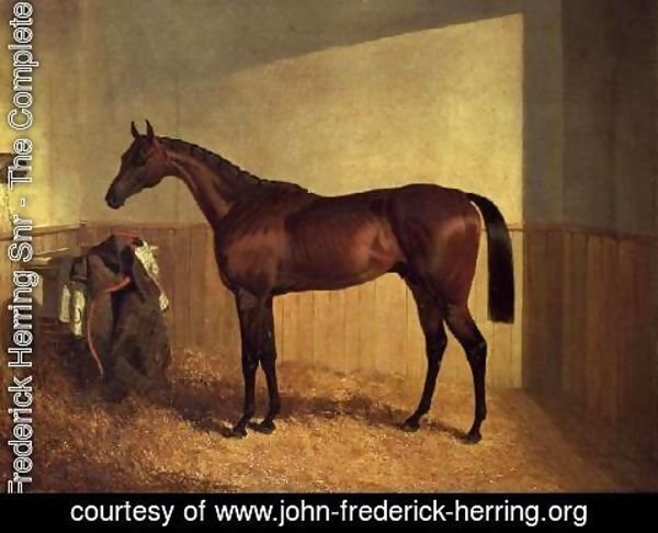 John Frederick Herring Snr - 'The Merry Monarch', a bay racehorse, in a loosebox