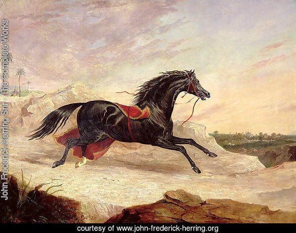 Arabs chasing a loose arab horse in an eastern landscape