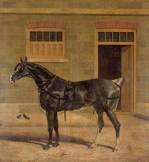 A Carriage Horse in a Stable Yard