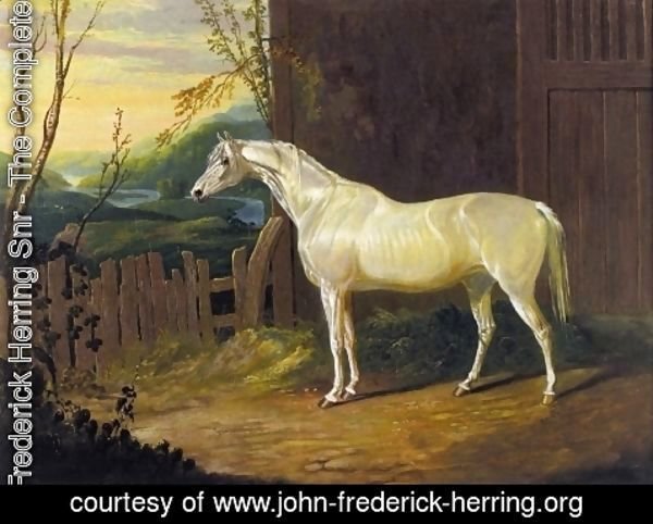 John Frederick Herring Snr - A Gray Arab Mare outside a Stable in an Extensive River Landscape