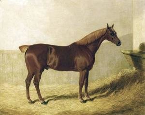 John Frederick Herring Snr - A Chestnut Horse in a Stable