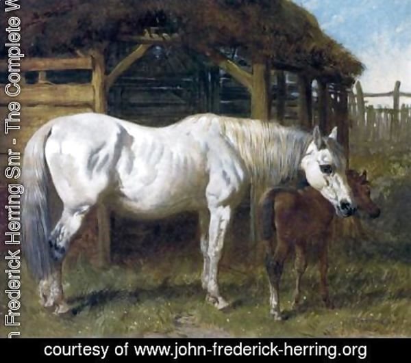 John Frederick Herring Snr - A Grey Mare and Chestnut Foal by a Stable 1853