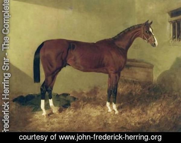 John Frederick Herring Snr - Aristides A Bay Colt 1844
