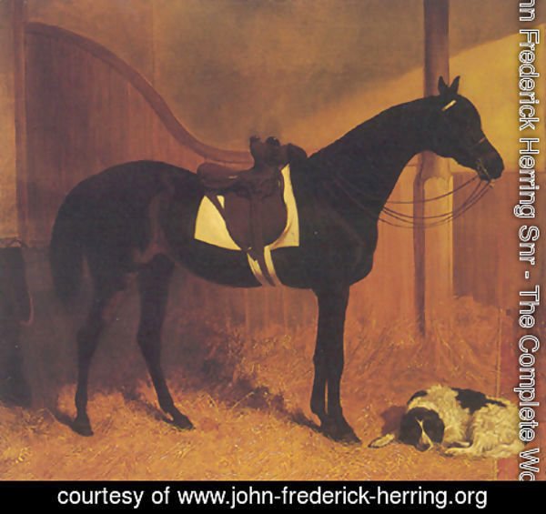 John Frederick Herring Snr - Askar and Roger in a Loose Box