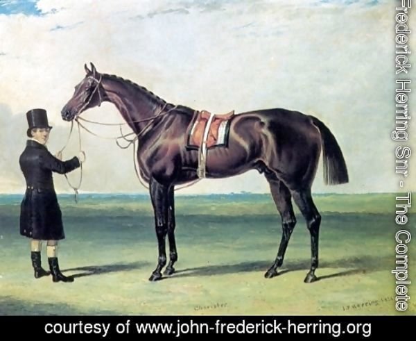 John Frederick Herring Snr - Bay Colt Chorister 1831