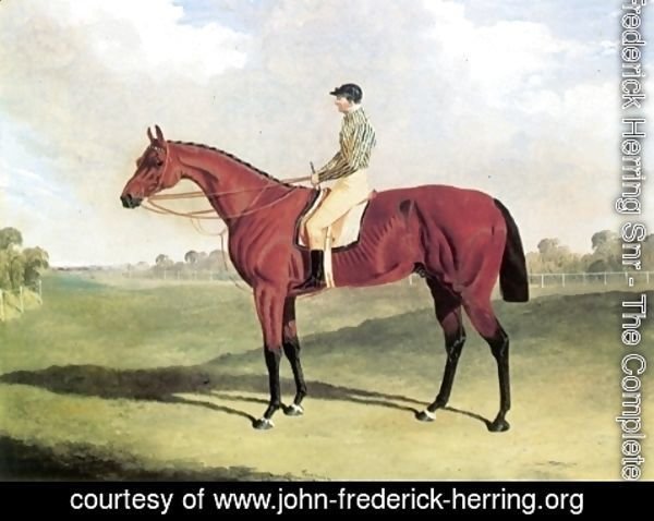 John Frederick Herring Snr - Bay Middleton With Jockey Up at Six Mile Bottom 1836