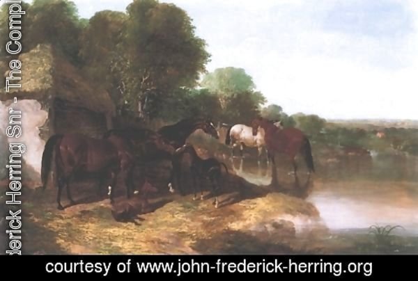 John Frederick Herring Snr - Beeswig