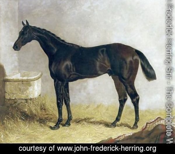 John Frederick Herring Snr - Birmingham in a Stable 1830