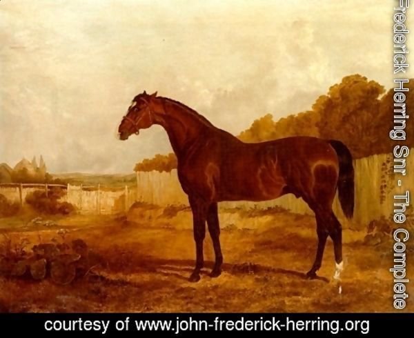 John Frederick Herring Snr - Blacklock in Landscape