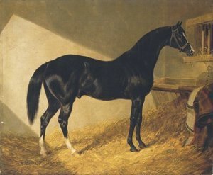John Frederick Herring Snr - Camel Winner 1826 Port Stakes 1844