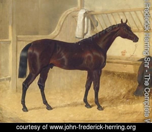 John Frederick Herring Snr - Charles The 12th St. Leger Winner 1839