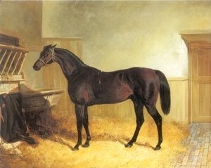 John Frederick Herring Snr - Charles XII a Brown Racehorse in a Stable