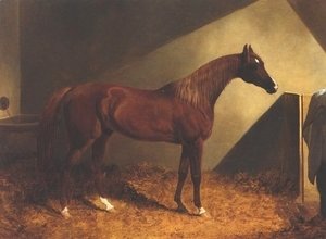 John Frederick Herring Snr - Chestnut Racehorse In Stall