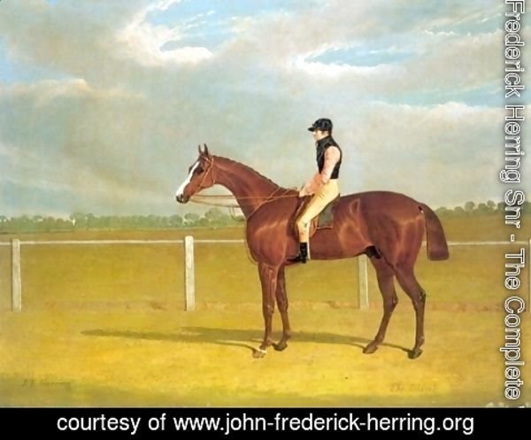 John Frederick Herring Snr - Colonel with Jockey Up
