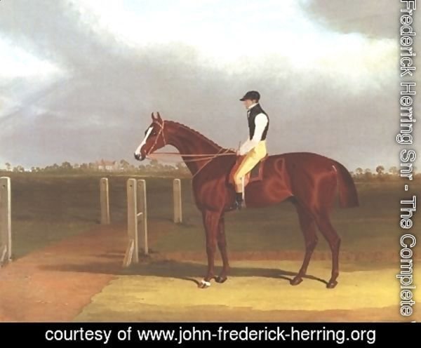 John Frederick Herring Snr - Colonel With Jockey Up 2