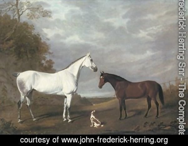 John Frederick Herring Snr - Dappled Grey Bay Spaniel 1820