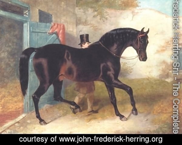 John Frederick Herring Snr - Dark Bay Racehorse by Stable