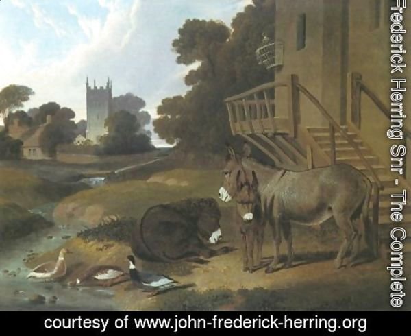 John Frederick Herring Snr - Donkey And Ducks 1833