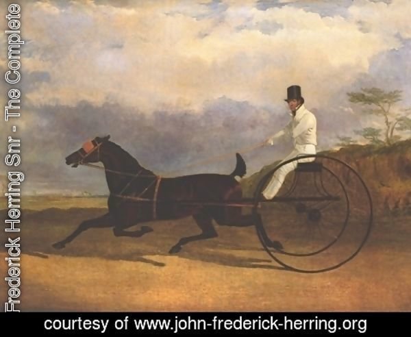 John Frederick Herring Snr - Famous Trotting Horse Rattler