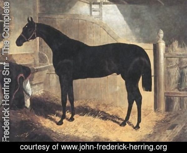 John Frederick Herring Snr - Faugh A Ballagh 1845