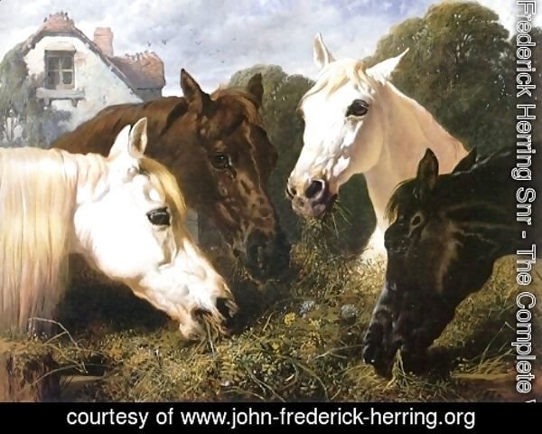 Horse Feeding At A Manger