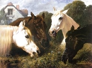 Horse Feeding At A Manger