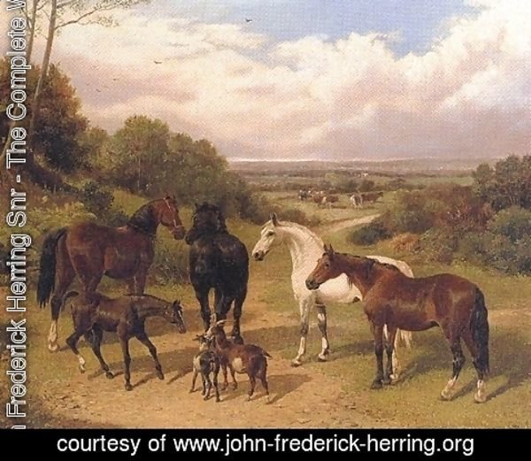 John Frederick Herring Snr - Horse in Surrey Pastures