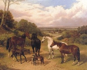 Horse in Surrey Pastures