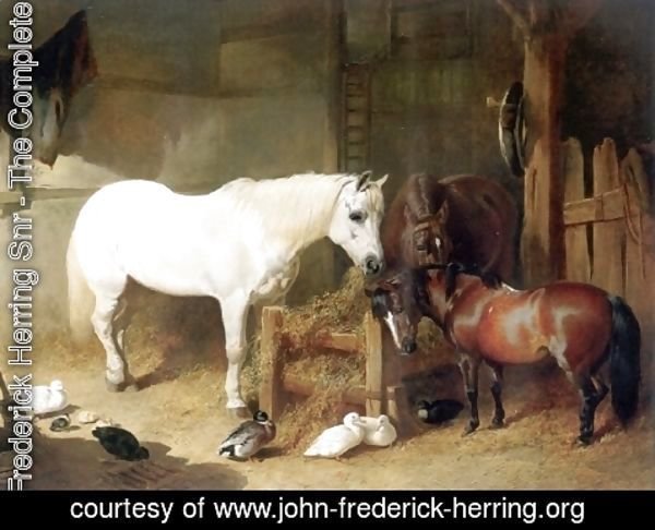 John Frederick Herring Snr - Horse Team After Work 1844