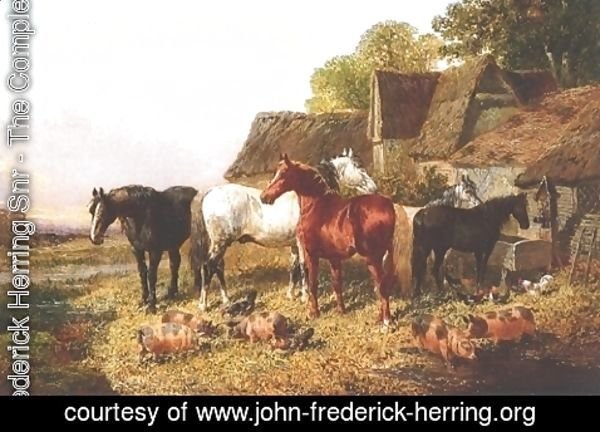 John Frederick Herring Snr - Horses Pigs and Poultry