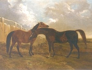 John Frederick Herring Snr - Languish and Pantaloon Two Horses in Landscape
