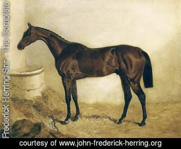 John Frederick Herring Snr - Little Wonder in a Stable 1840