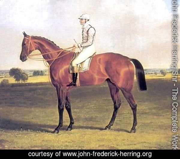 Little Wonder with Jockey Up 1840