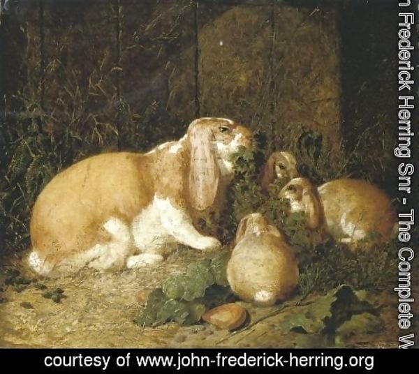 John Frederick Herring Snr - Lop Eared Rabbits 1860